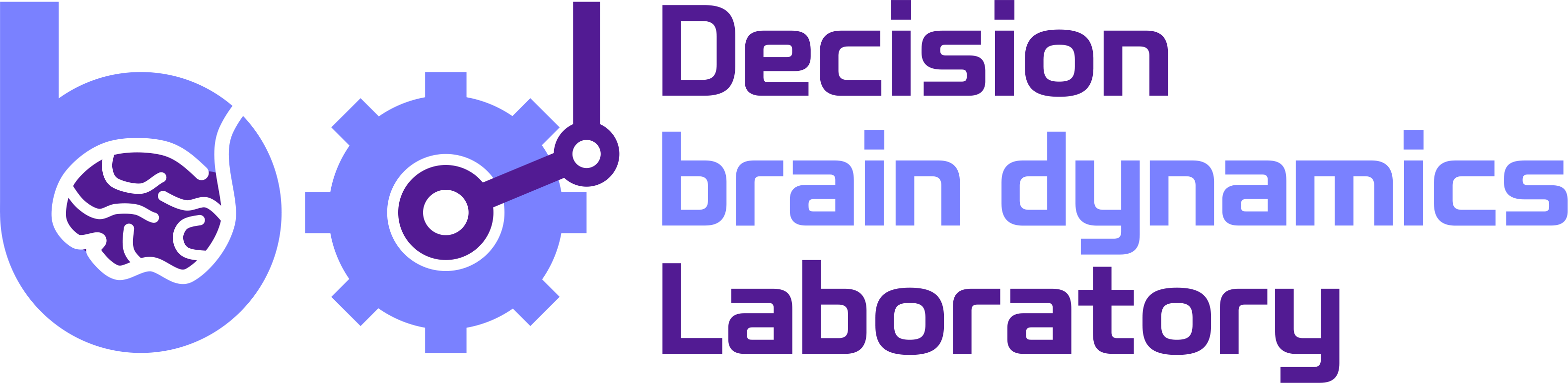 Decision Brain Dynamics Laboratory